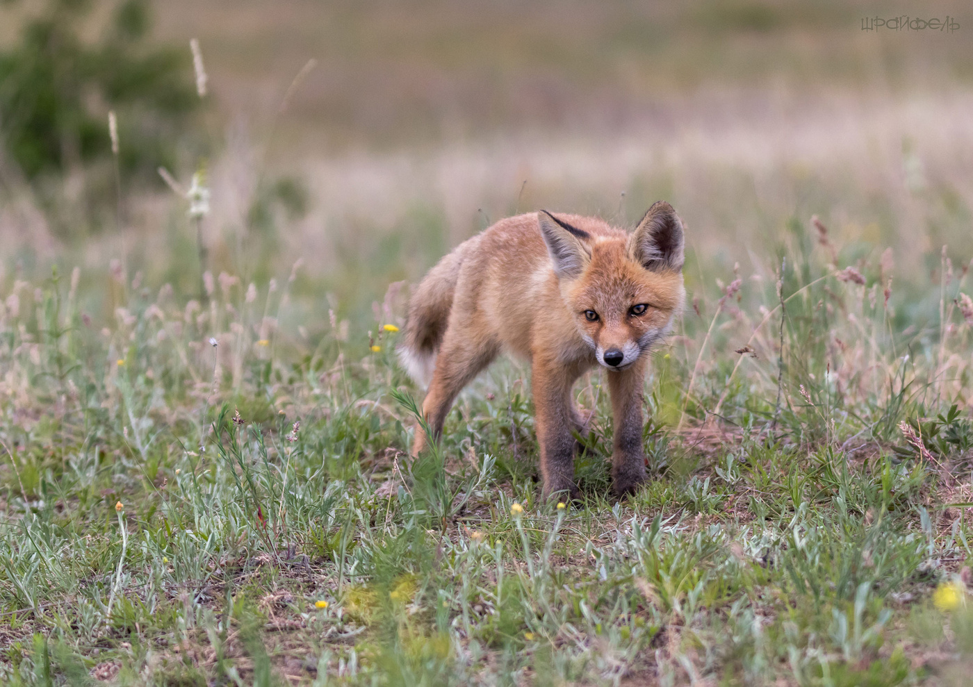 Задумался...