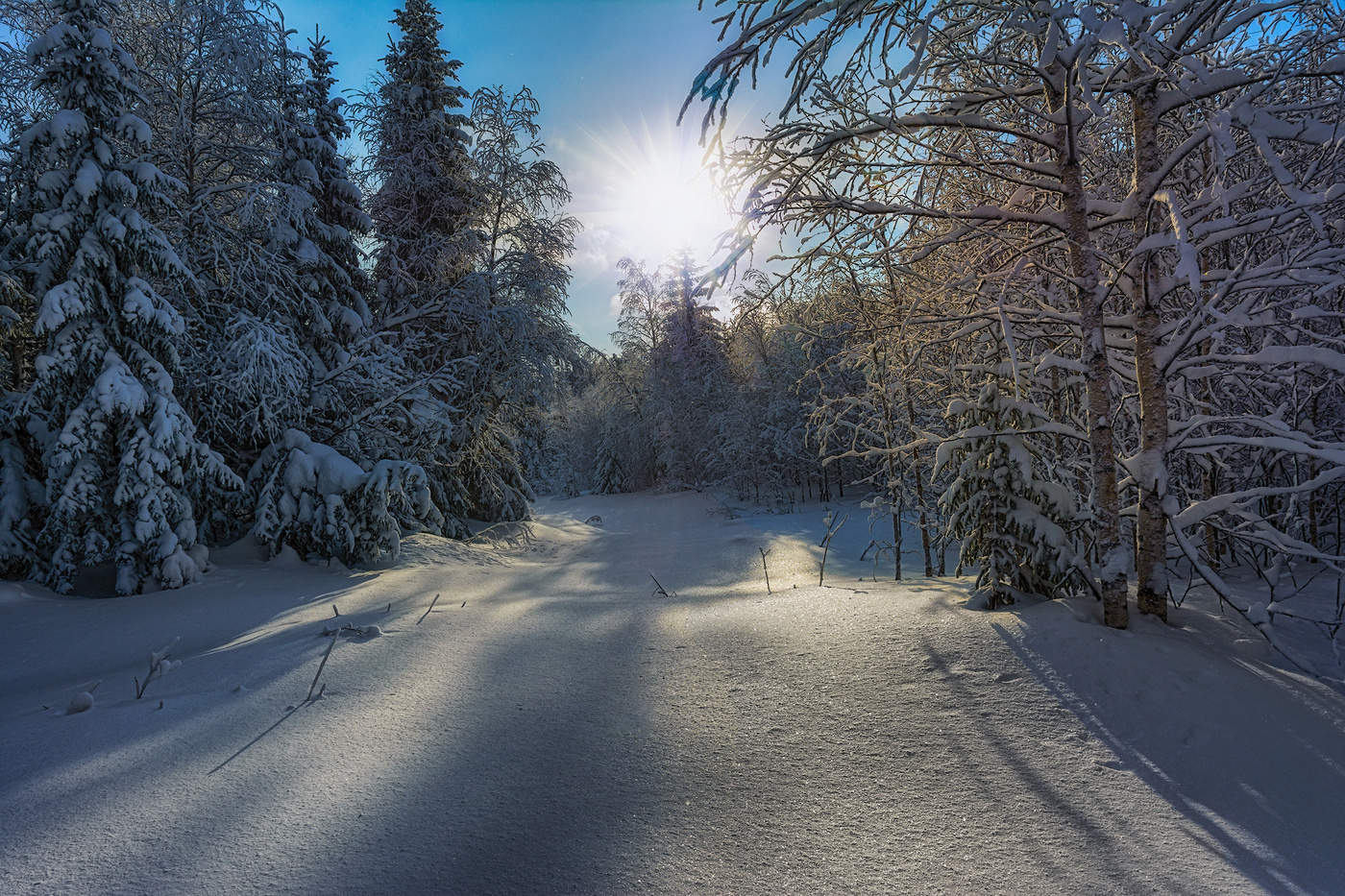 Полуденные тени