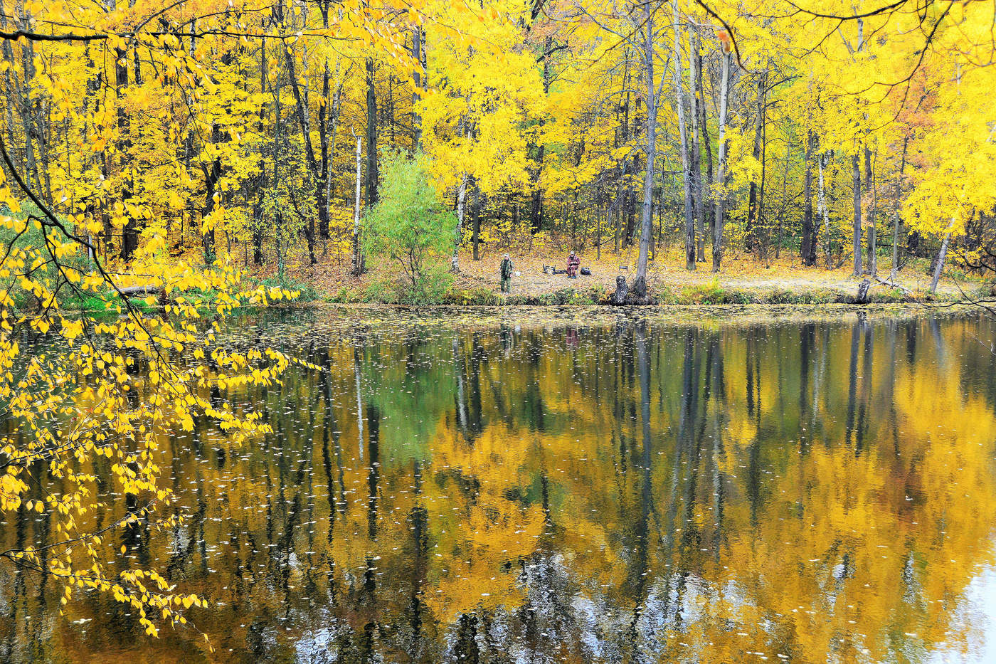 "Заройся вся в осенний шелест!"