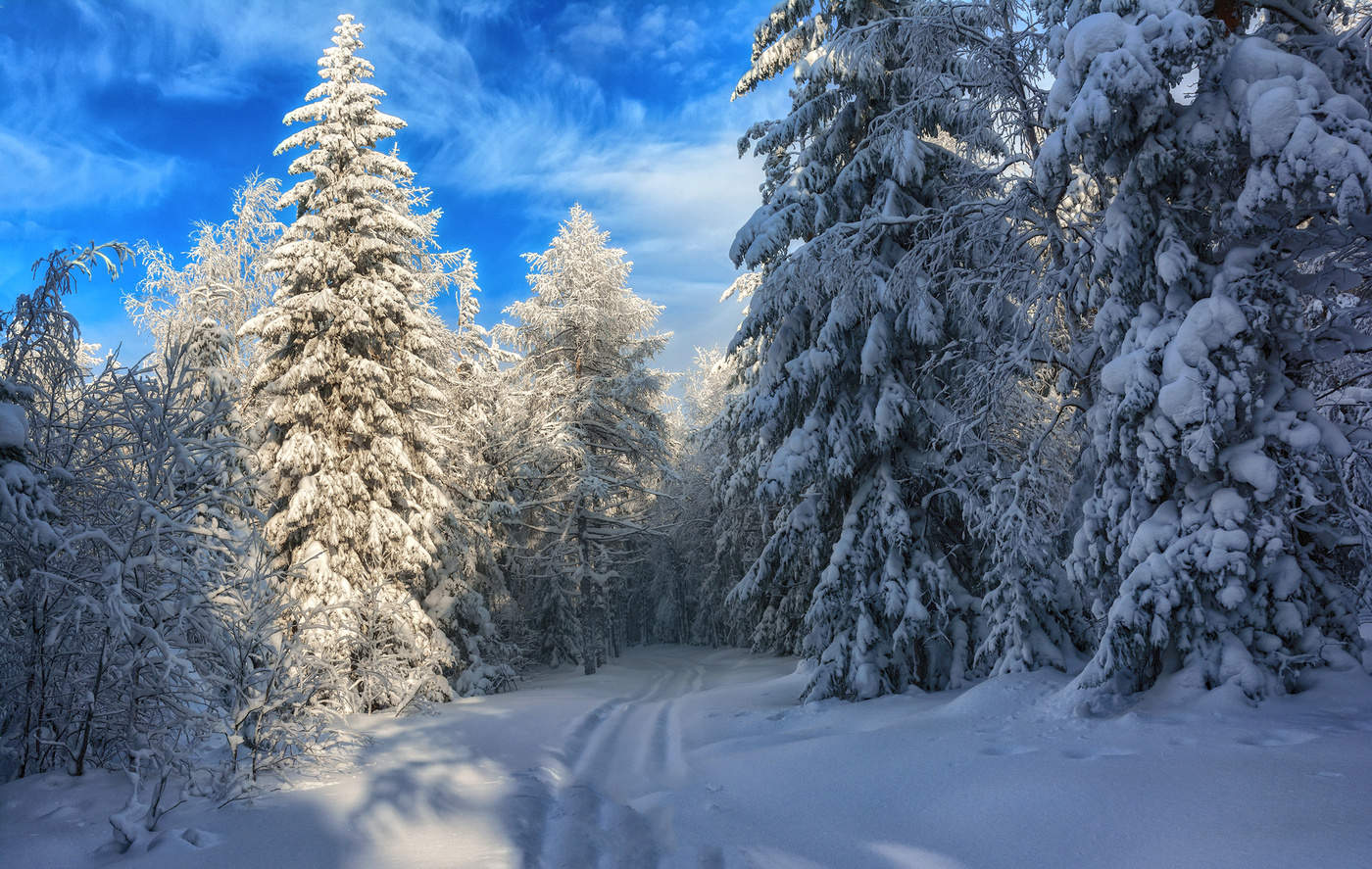 Погожий денек