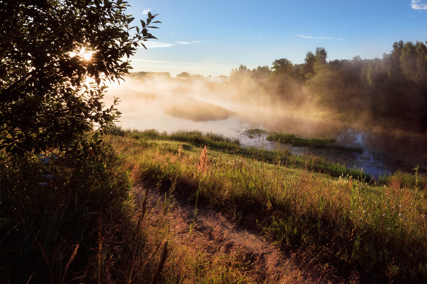 туман над рекой