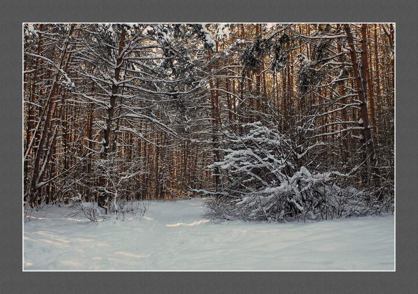 зимний этюд