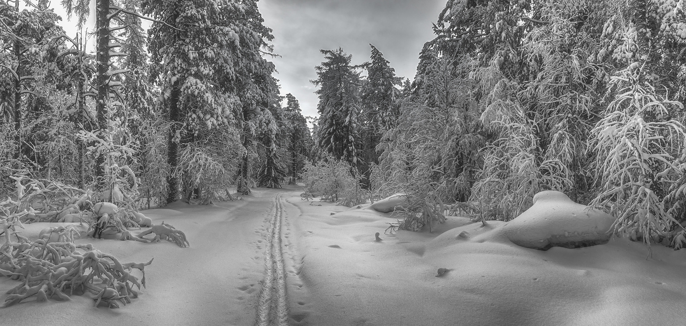 Убегающая вдаль