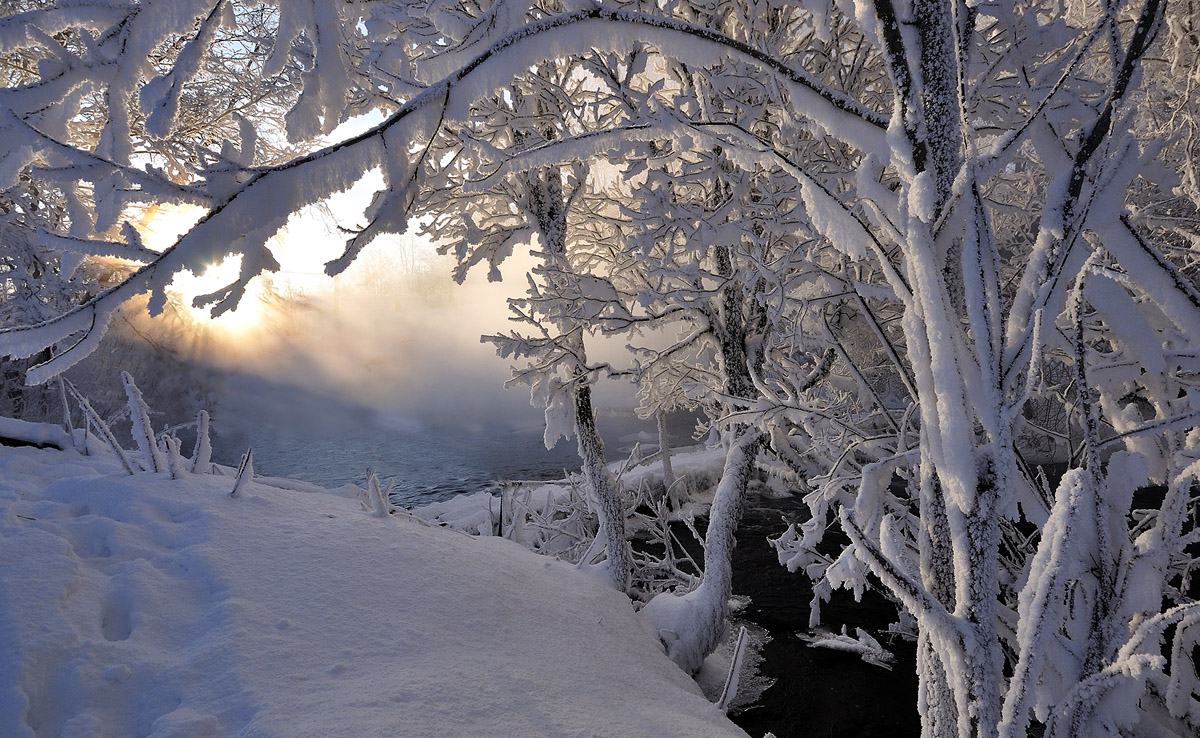 Зимний этюд