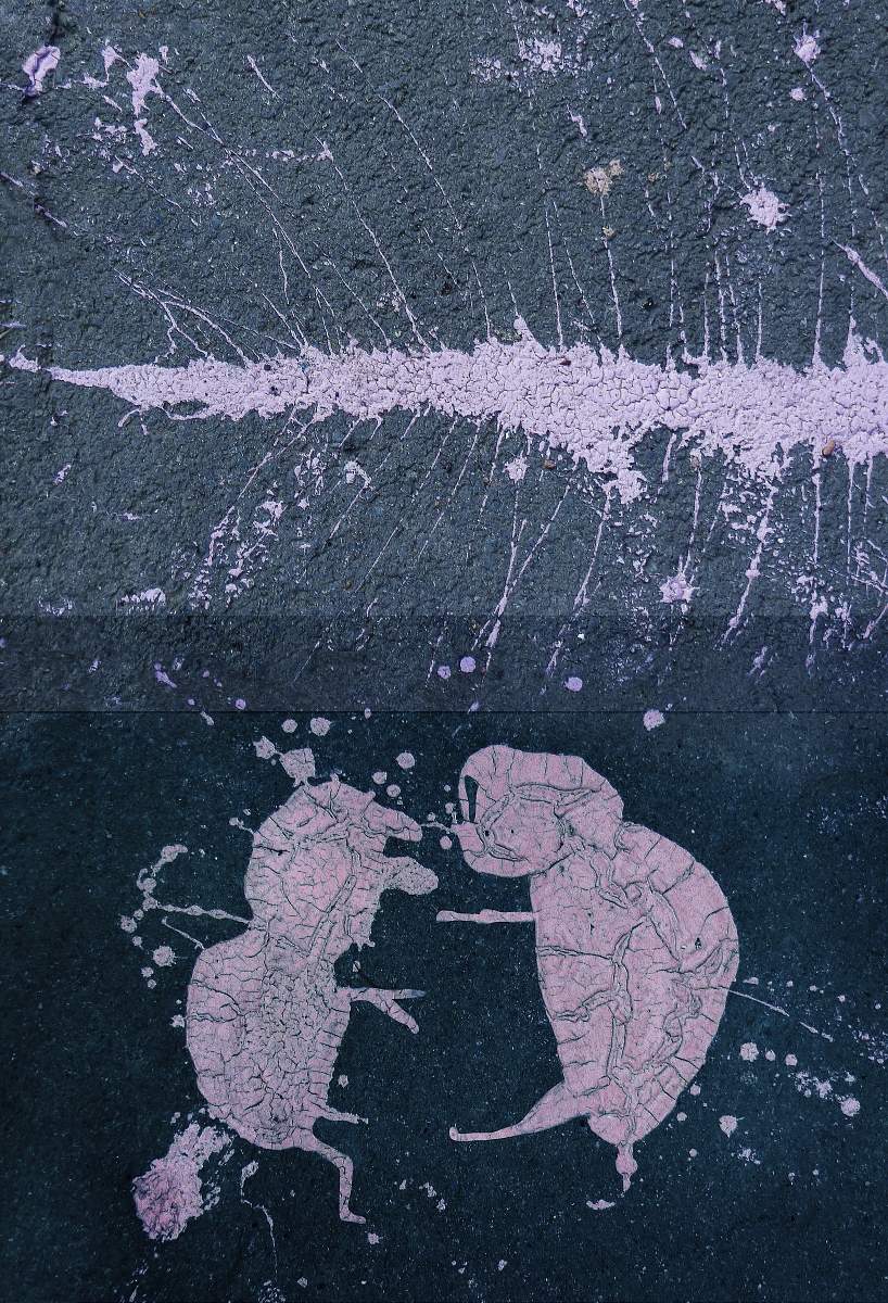 разлитая краска