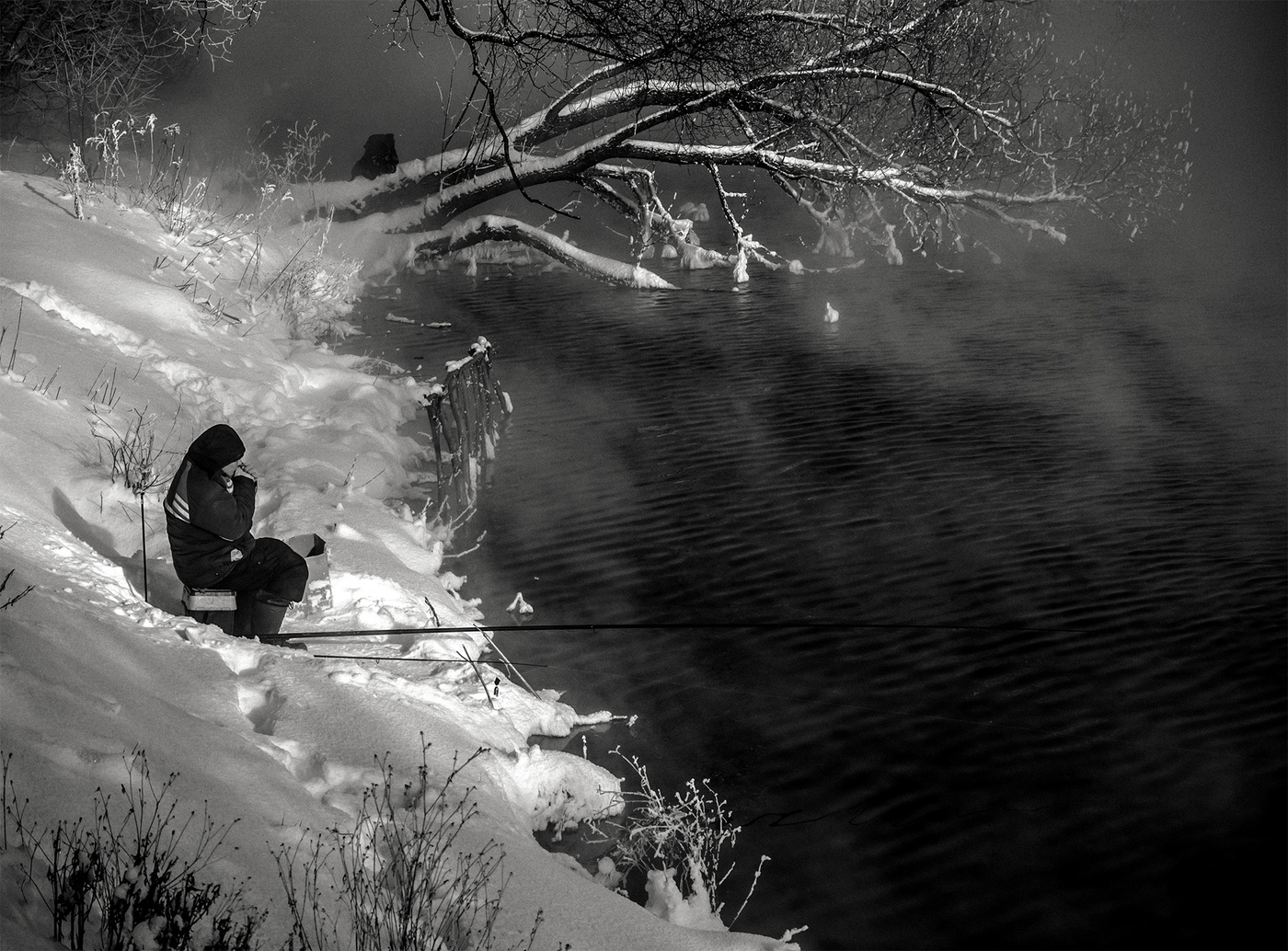 И чего мне дома не сиделось...