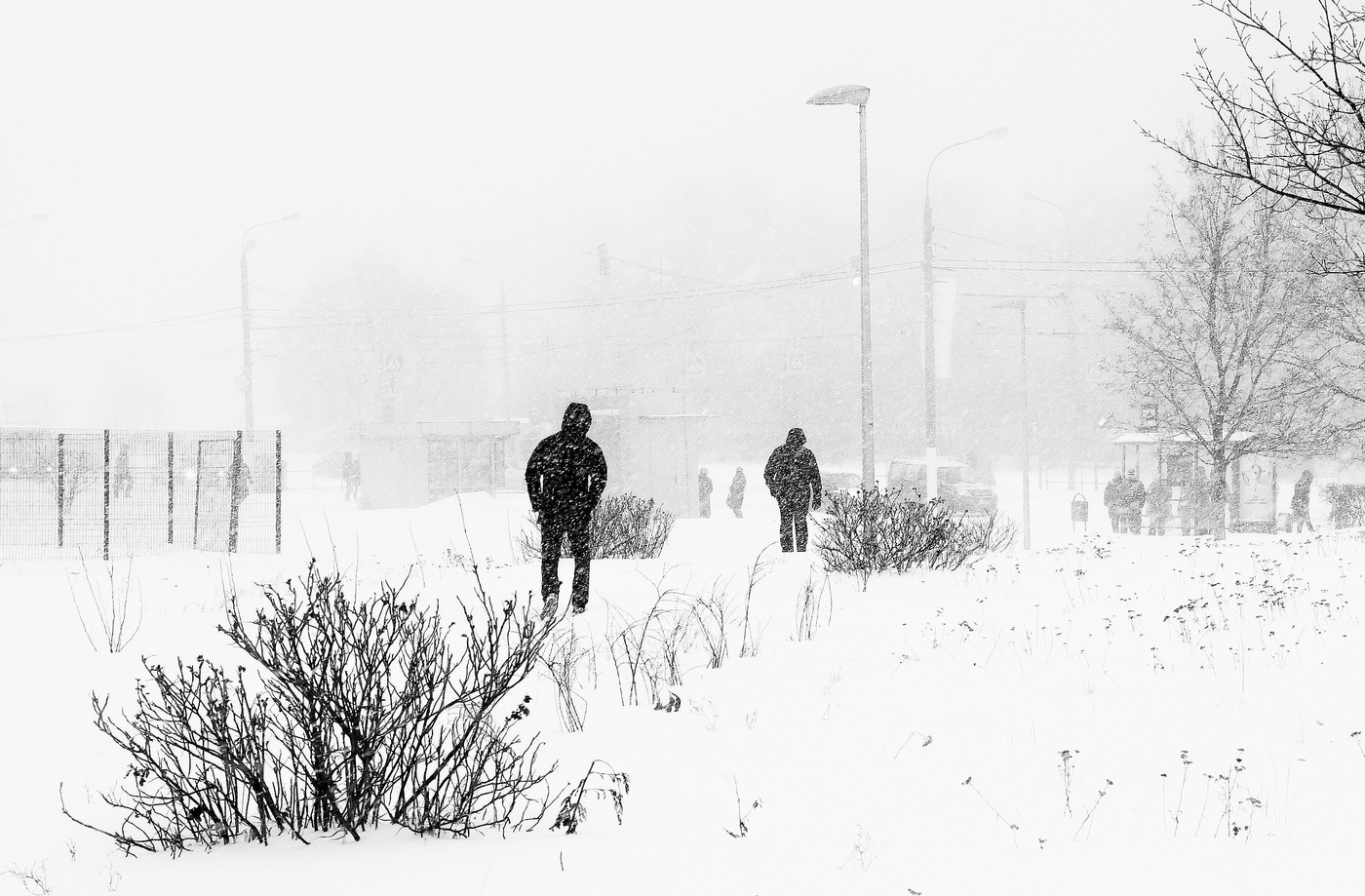 "Снаружи вьюга мечется ..."