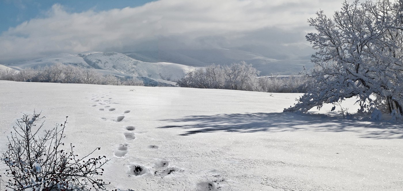 Царство Зимы.
