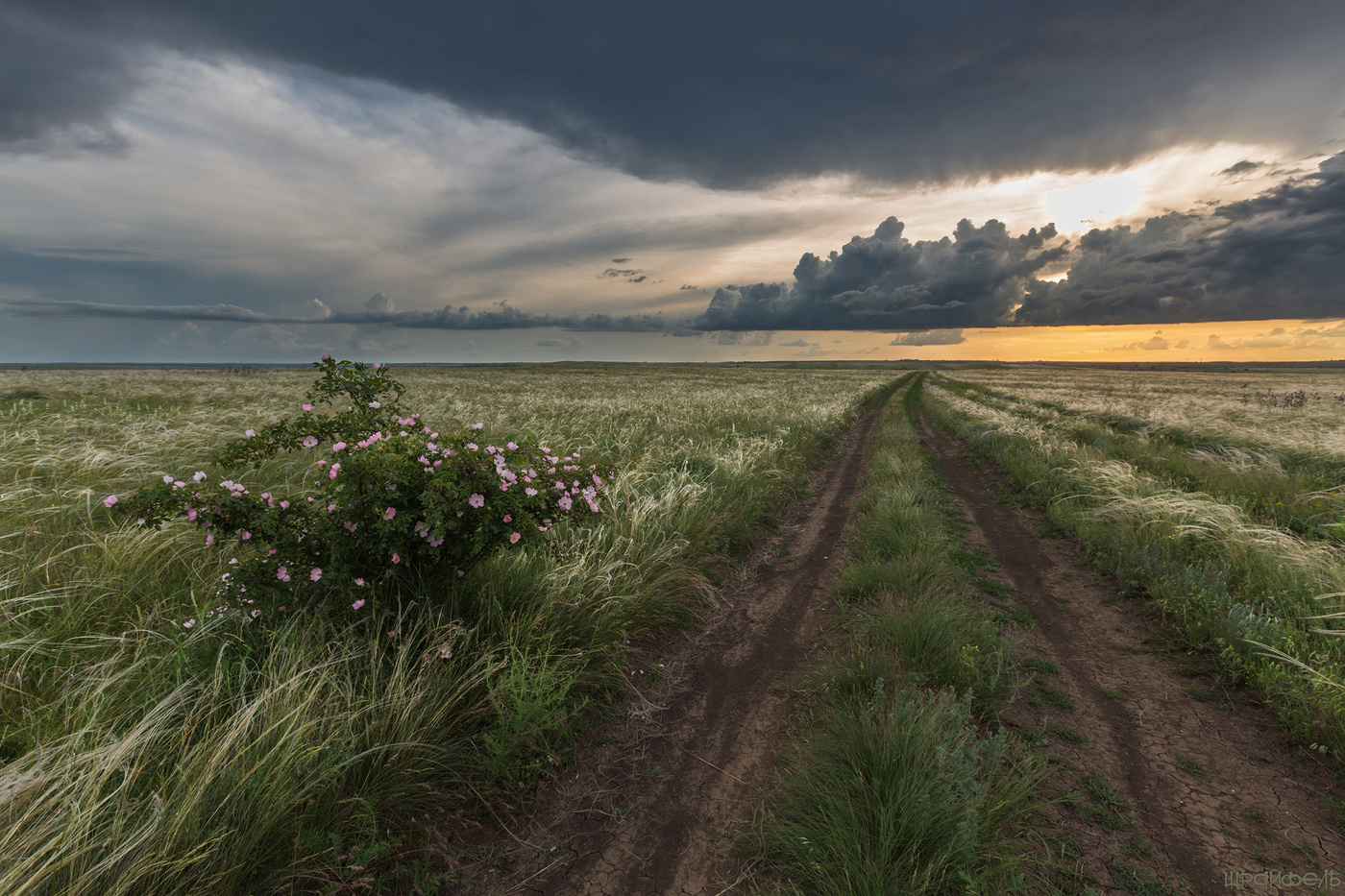 Путь далек лежит...
