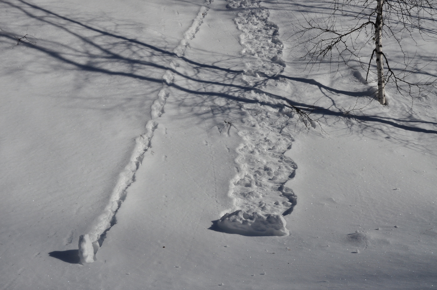 Пятничная зимовка