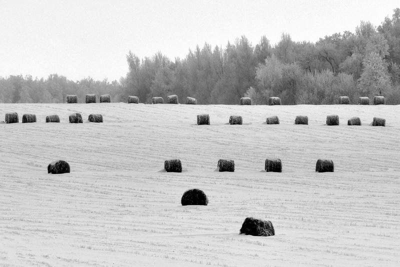 Пятничная зимовка