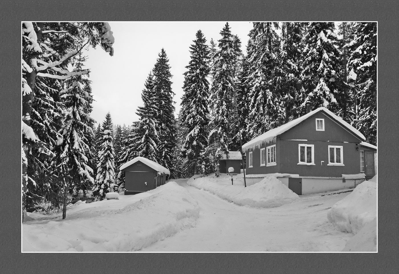 Пятничная зимовка