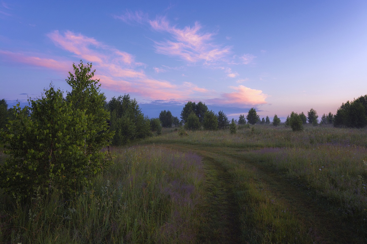 Все про зиму а я про лето:)