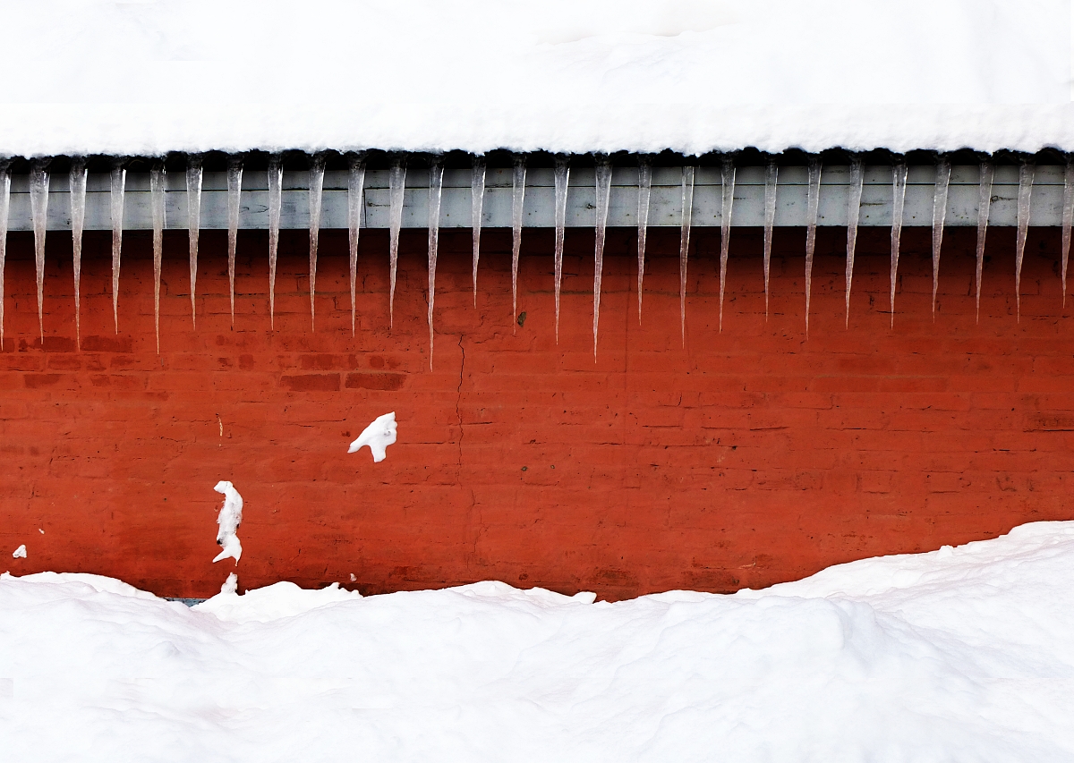 Пятничная зимовка