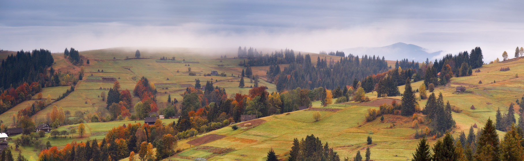 Пасмурно-осенняя панорама
