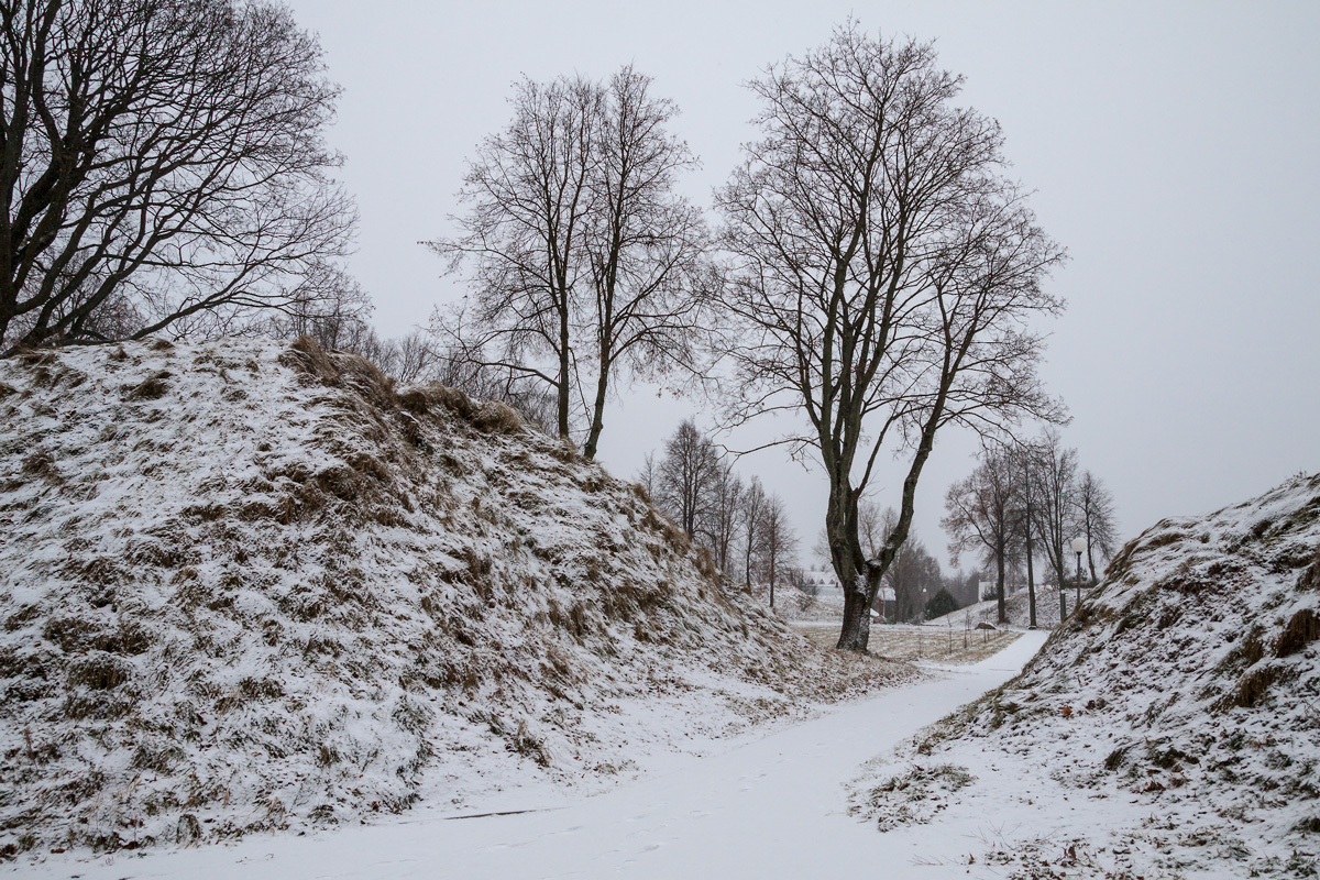 Заславские курганы