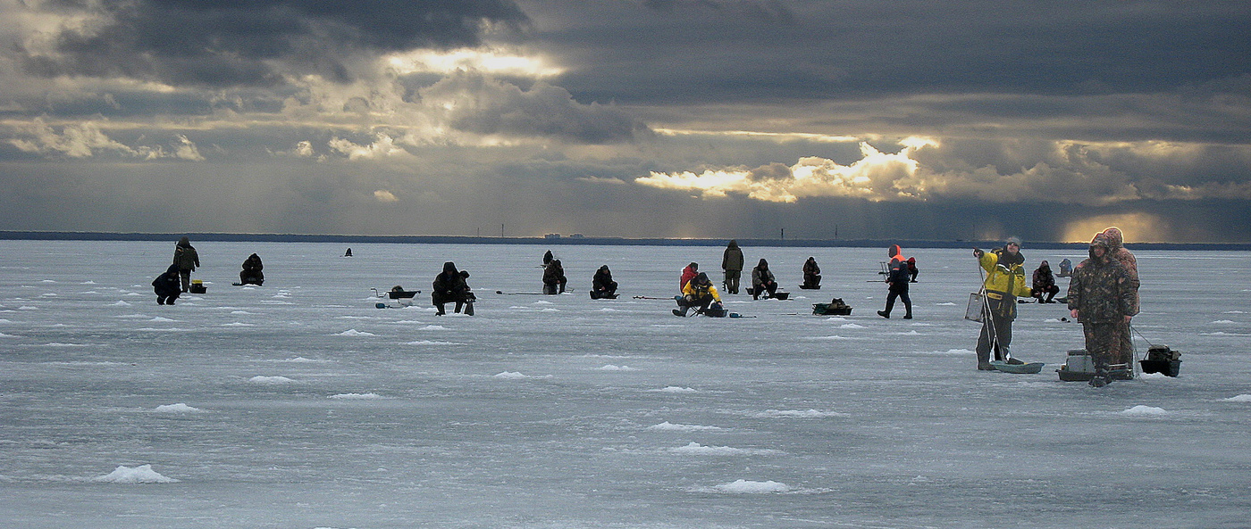 Пятничная зимовка