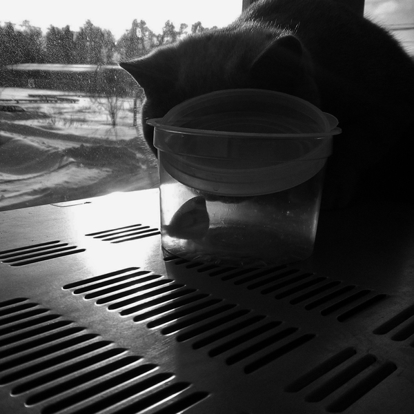 Пятничная зимовка