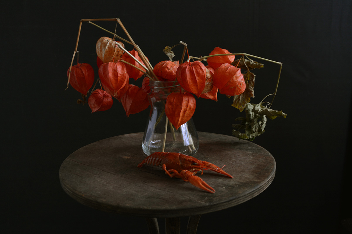 натюрморт с раком