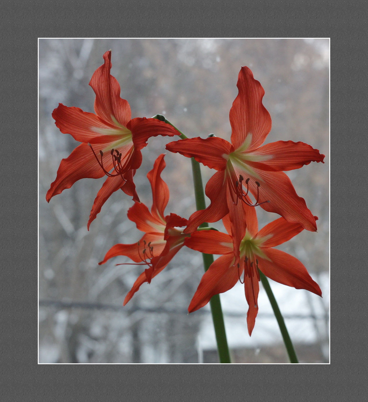 приоконное зимнее