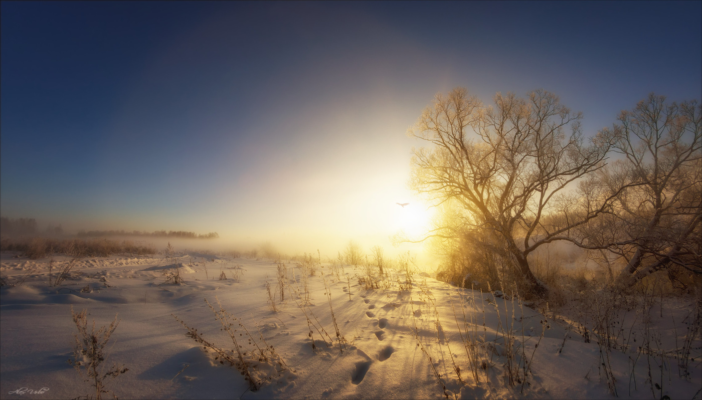 Ушел в рассвет...