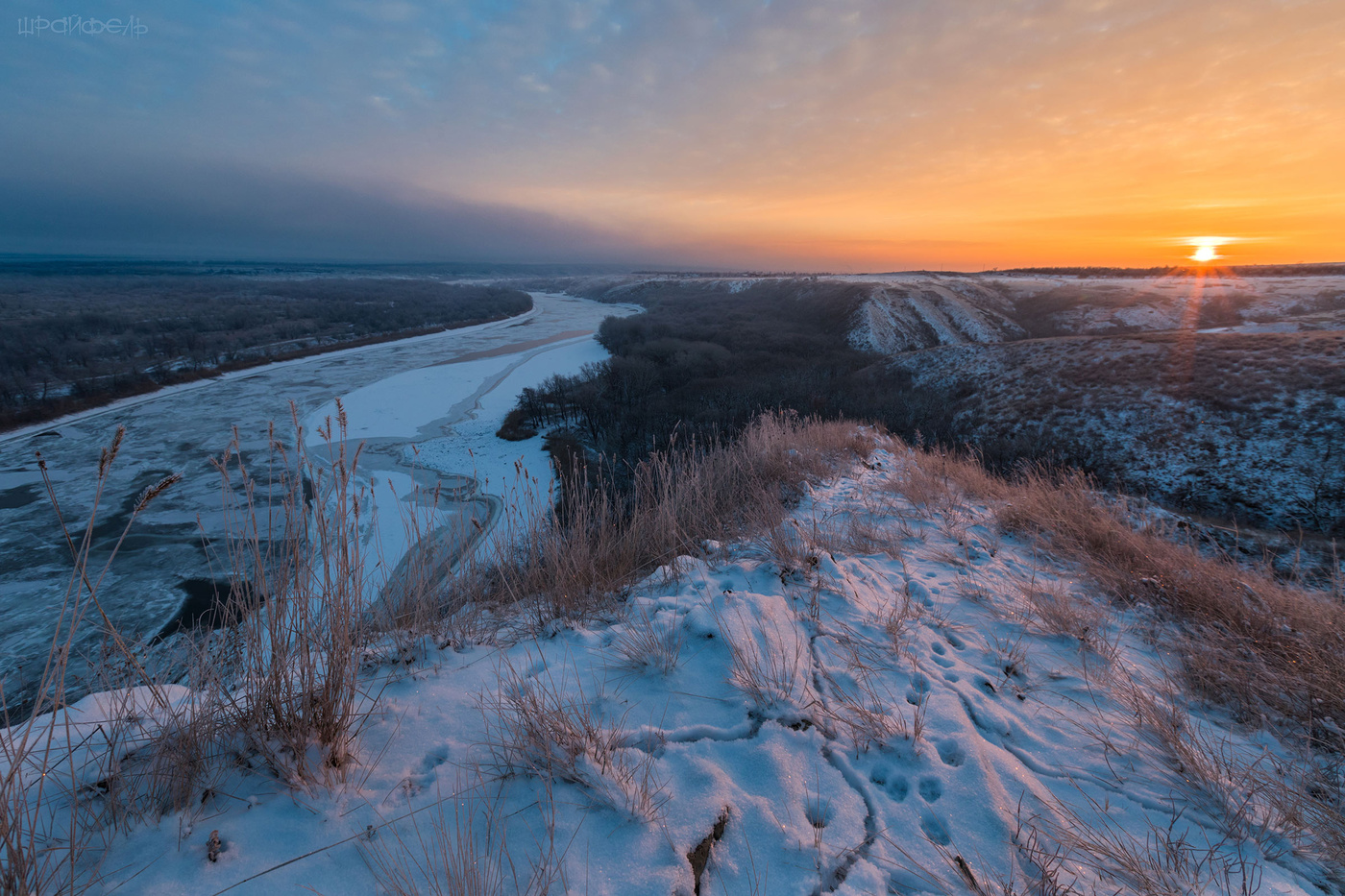 Мыши, лисы и минус 19