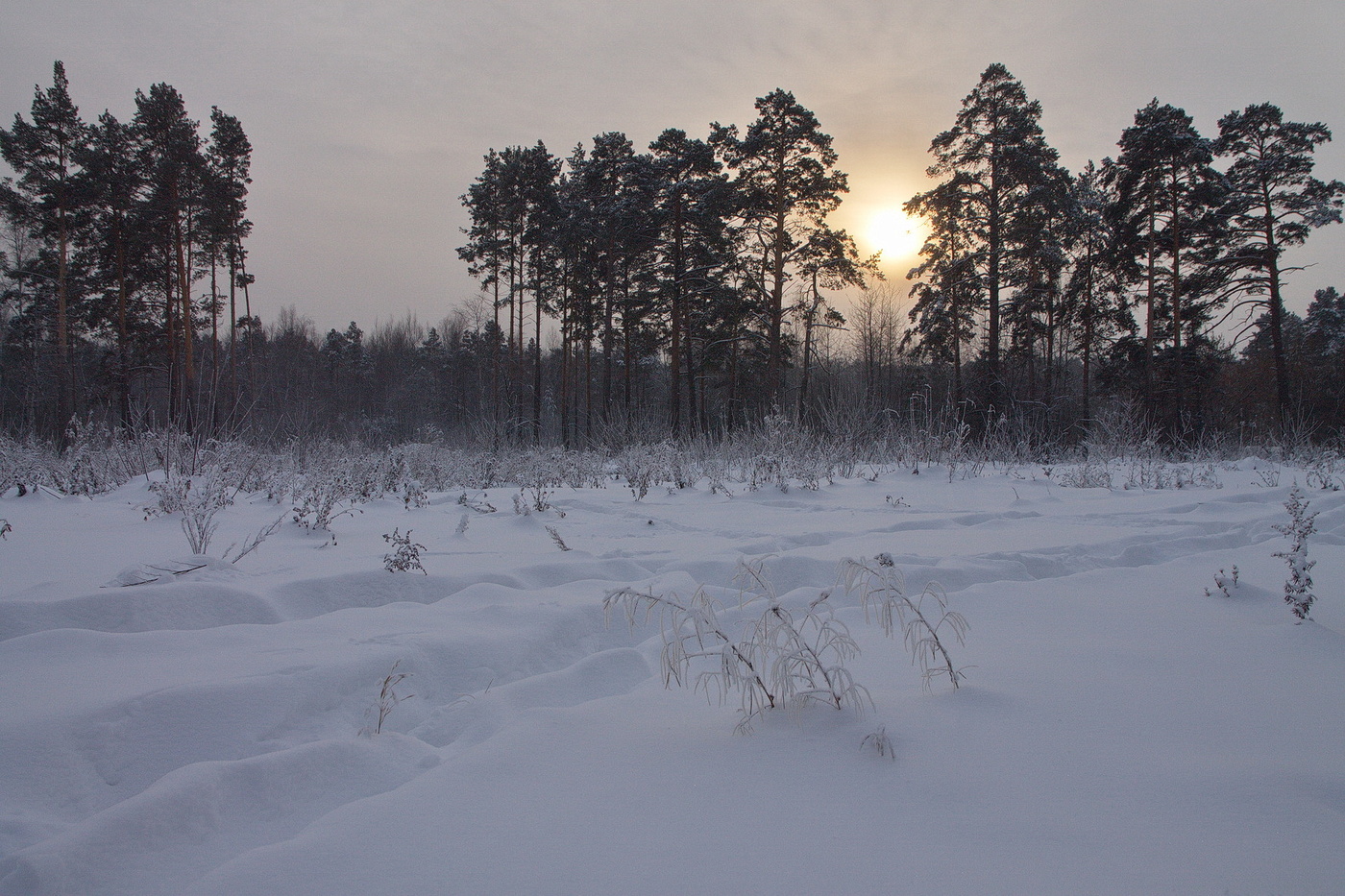 ЗИМНИЕ СУМЕРКИ.