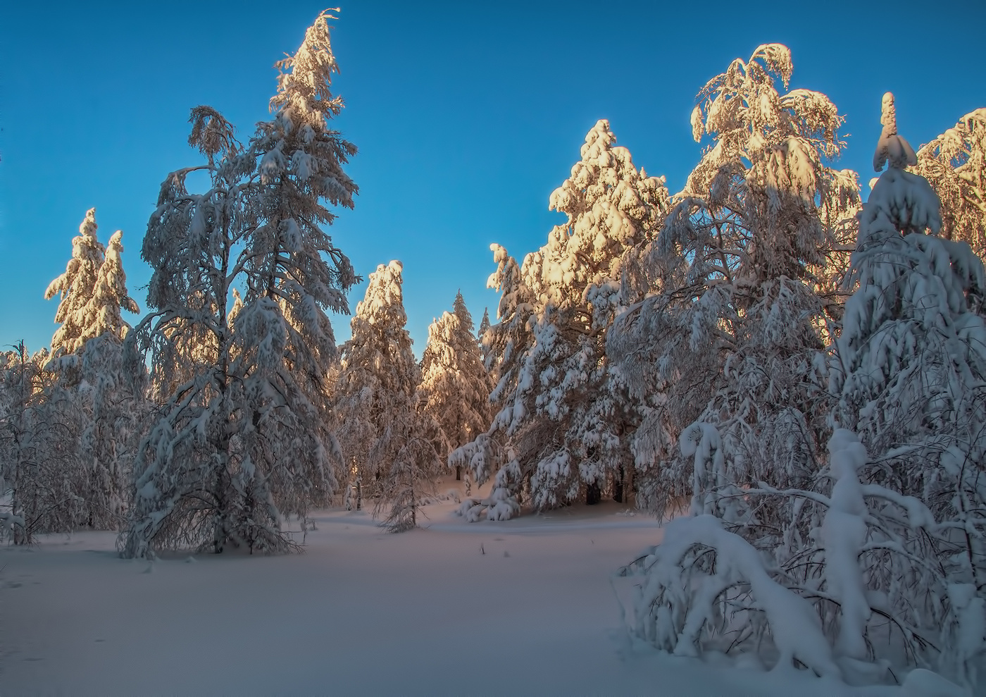 Вечерний свет