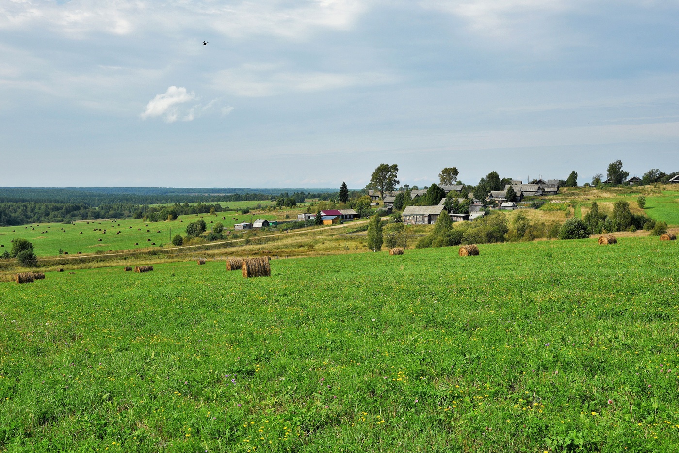 Август в деревне ...