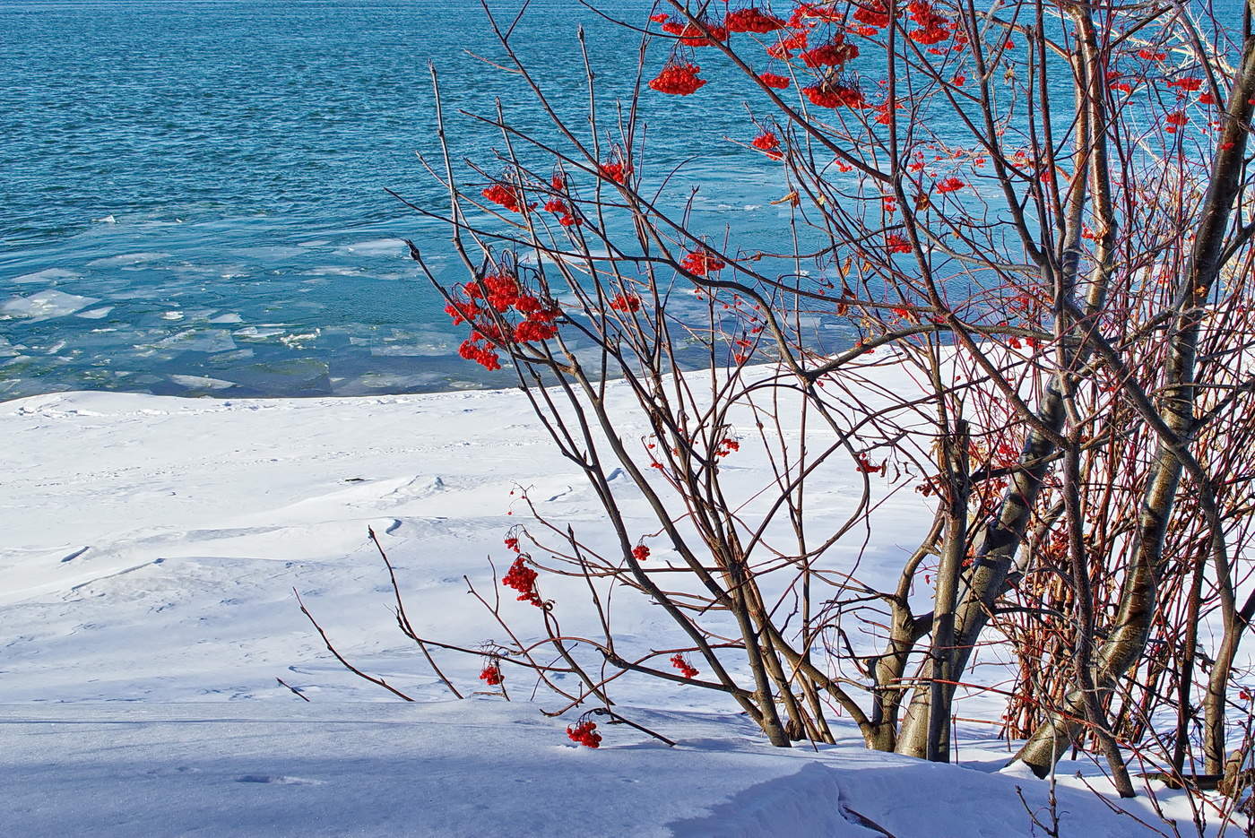 начало марта