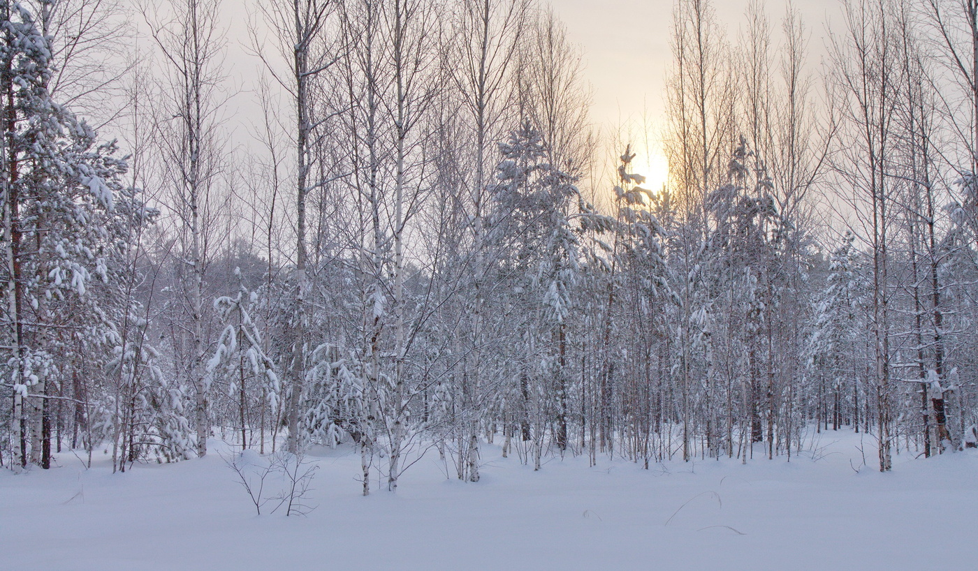 *МОРОЗНЫЙ ДЕНЬ.**