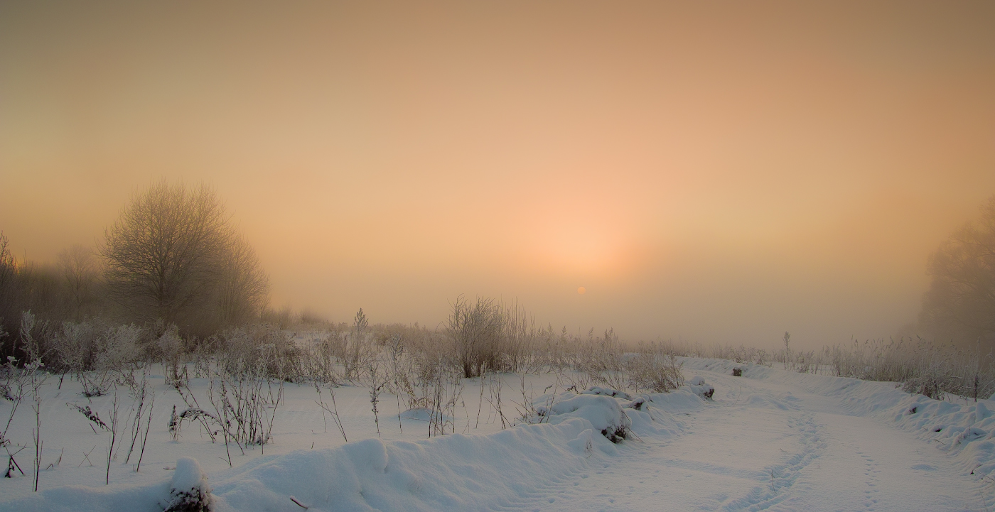 К солнцу навстречу