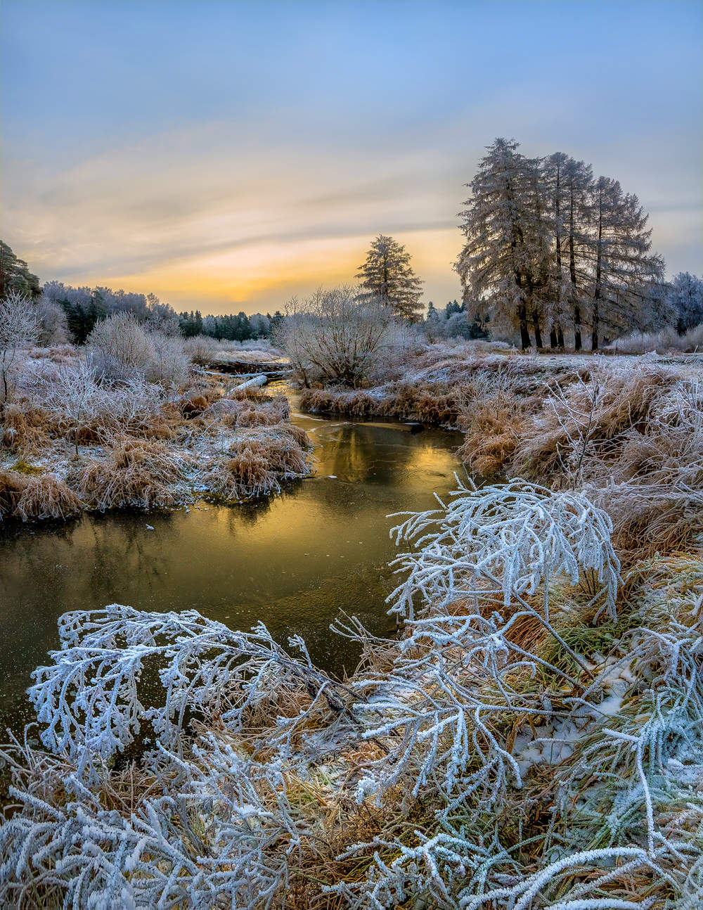 Золотая река в инее.