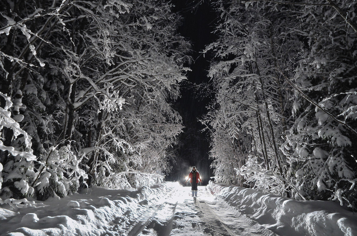 остаёмся зимовать...