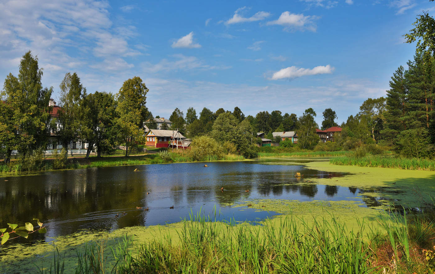 Тихо, спокойно и пахнет яблоками...