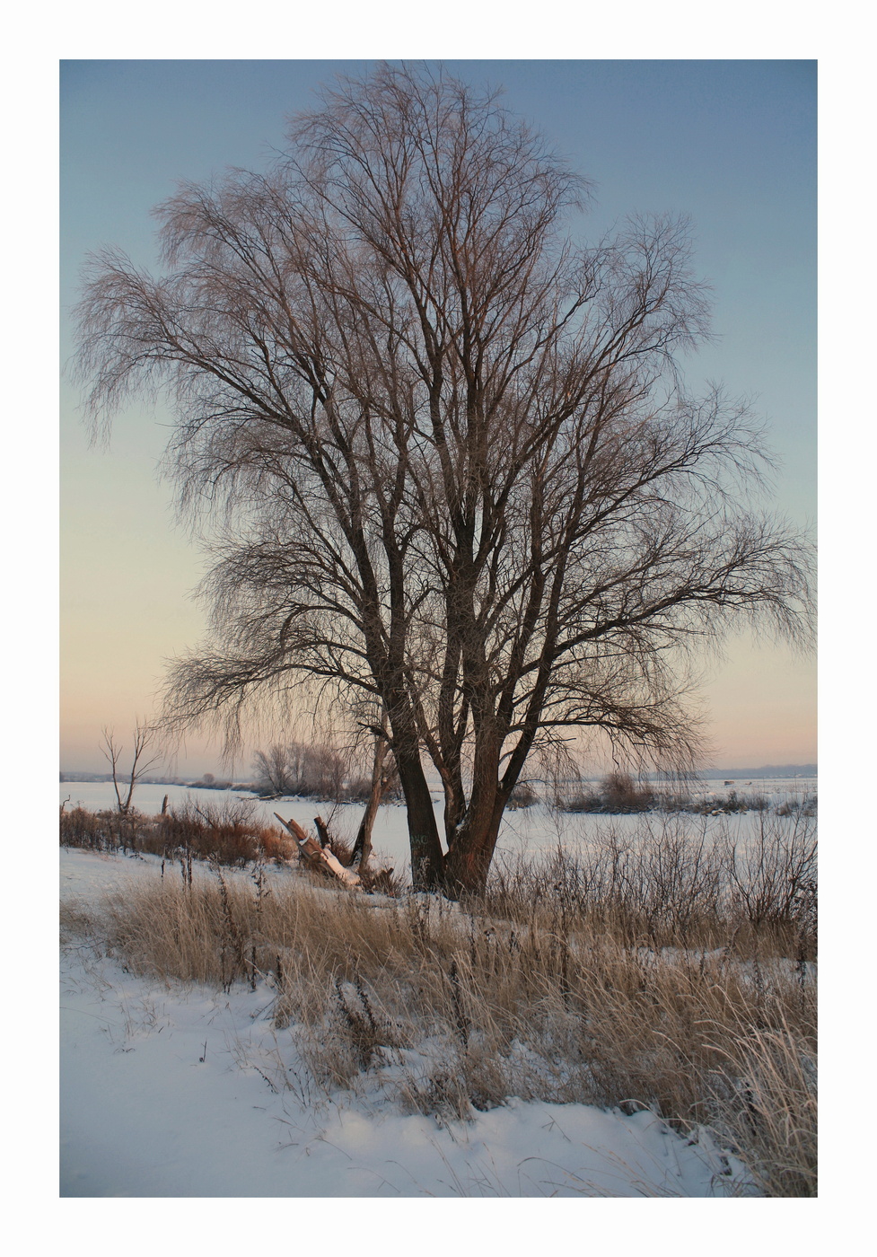 вечерняя мелодия зимы