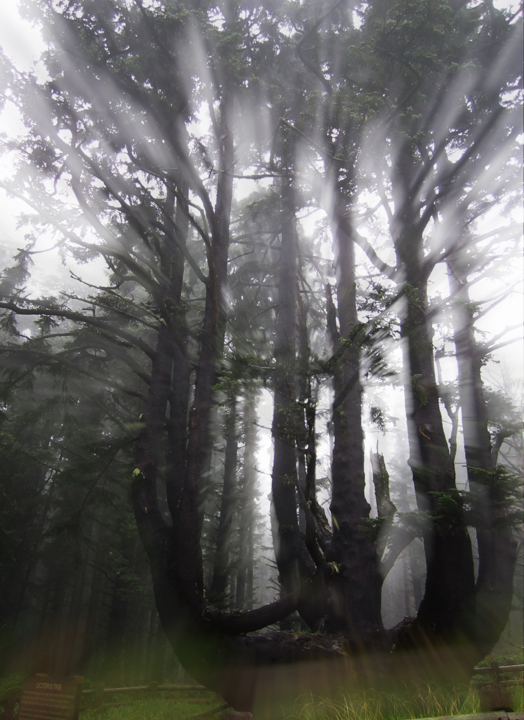 Параллельные миры