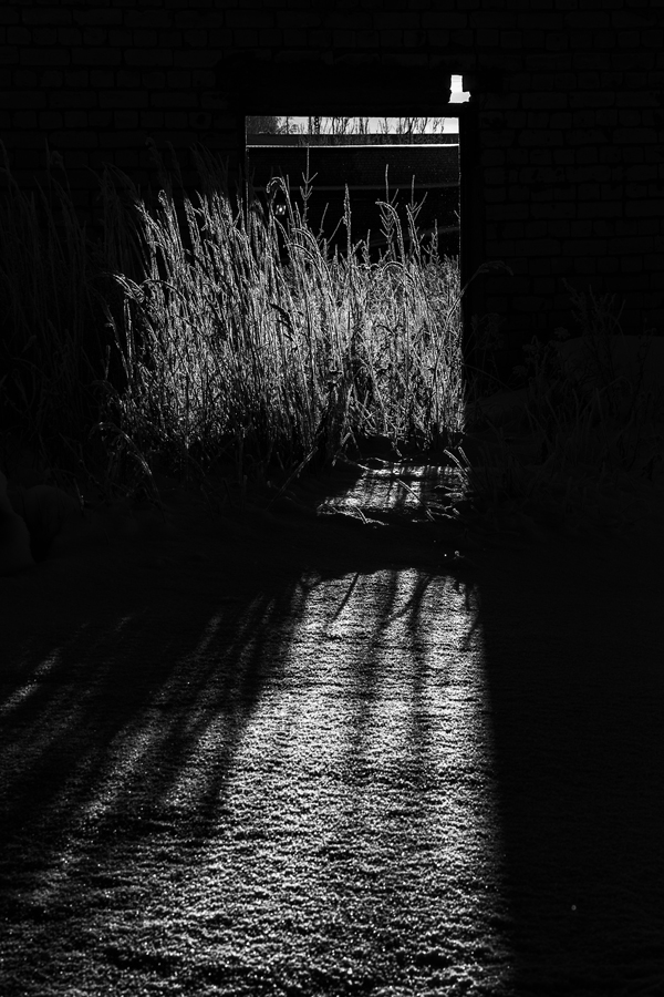 Параллельные миры