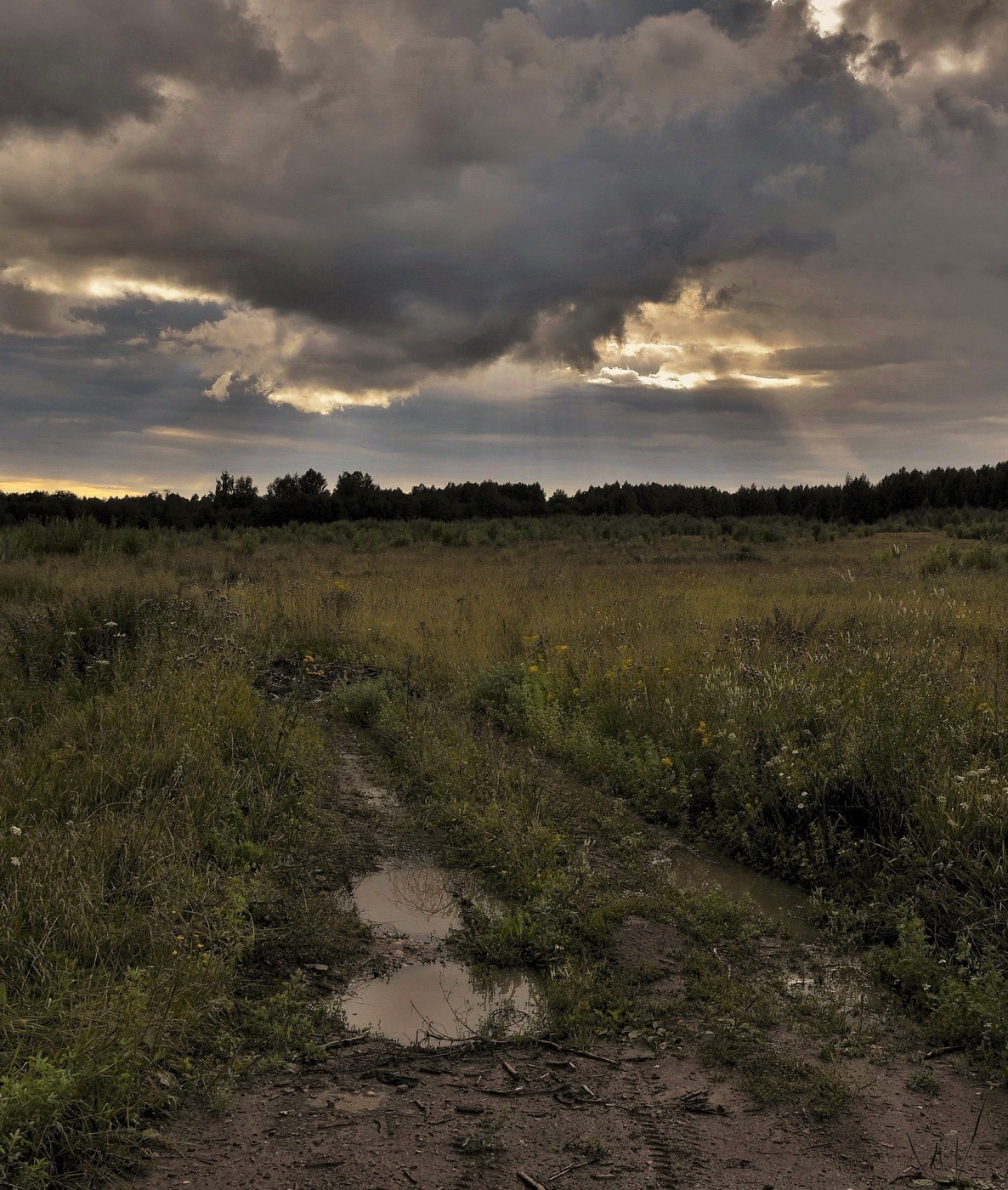 "Когда в исходе дней дождливых..."