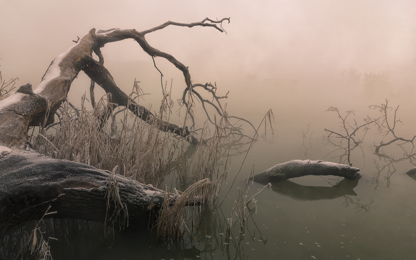 字符 Иероглифы 字符