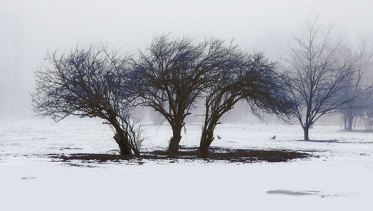 университетское поле...
