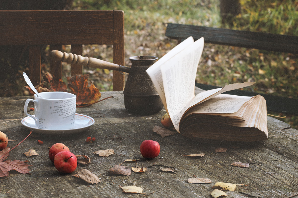 Был ноябрь...