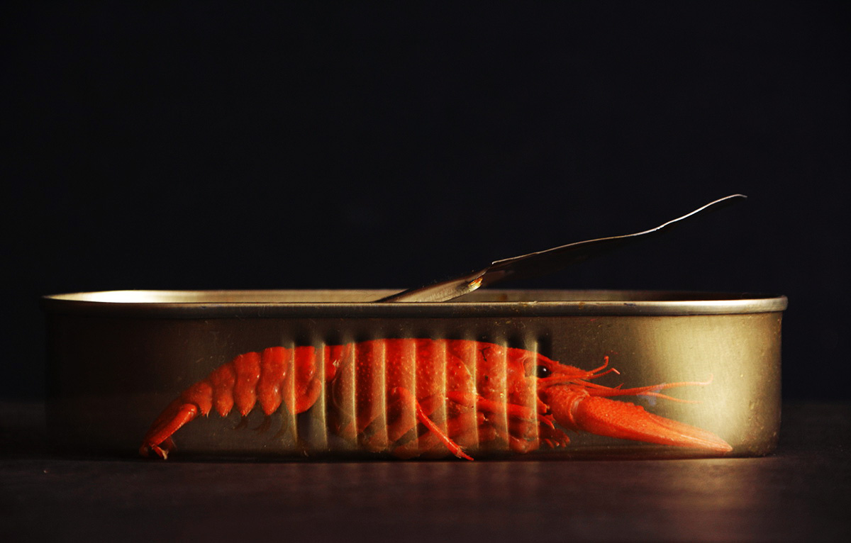 натюрморт с раком