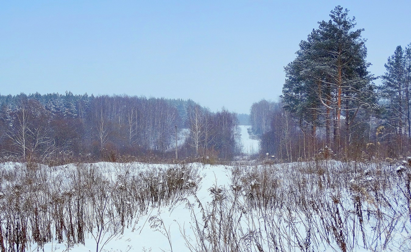 Заснеженная просека