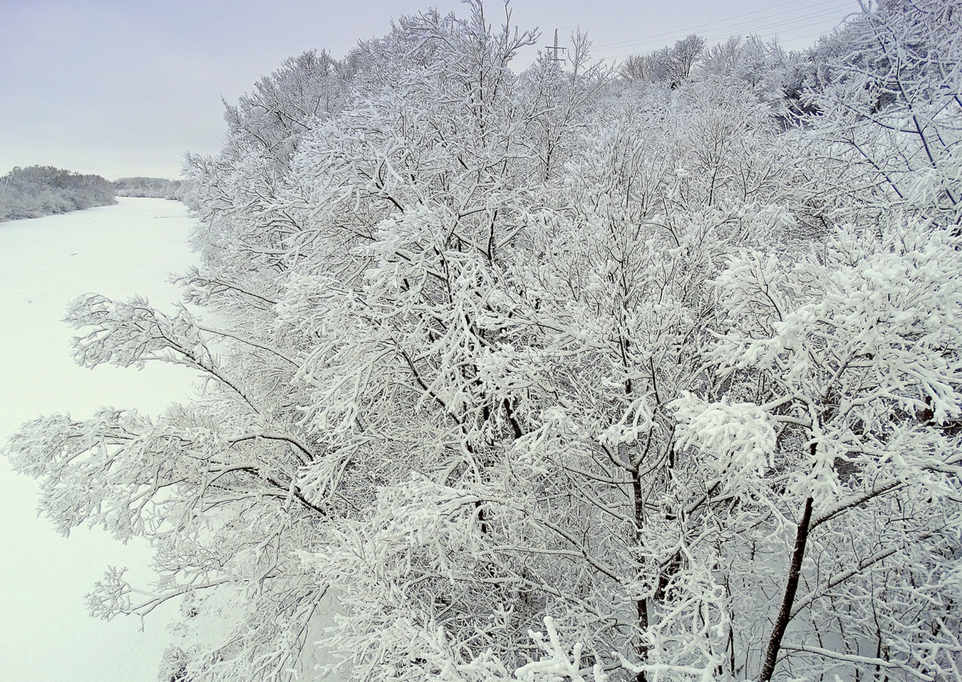 Снежность зимнего утра