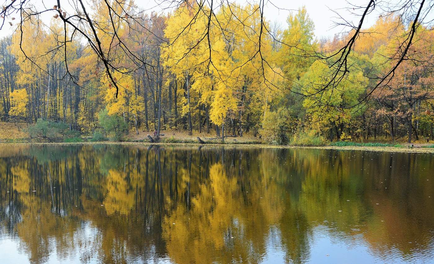 "Осень. Сказочный чертог ..."