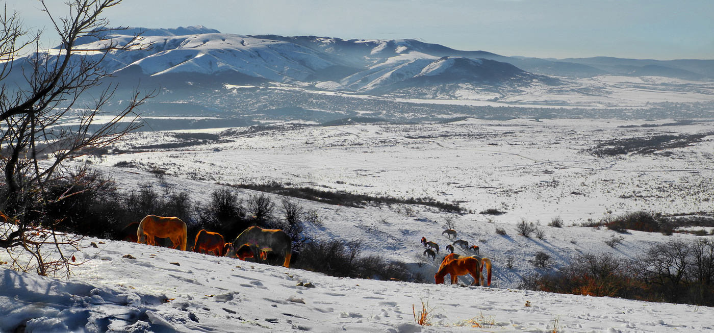 Яйла зимой.