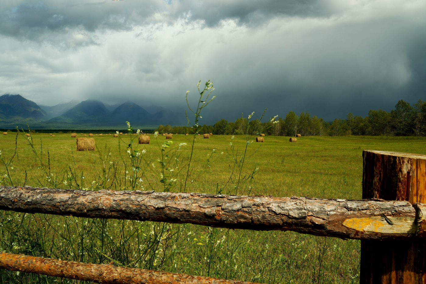 Перед грозой