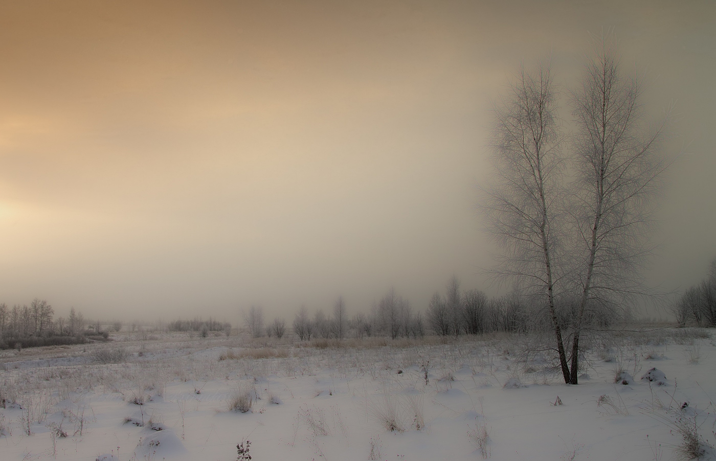 Утреннее безмолвие