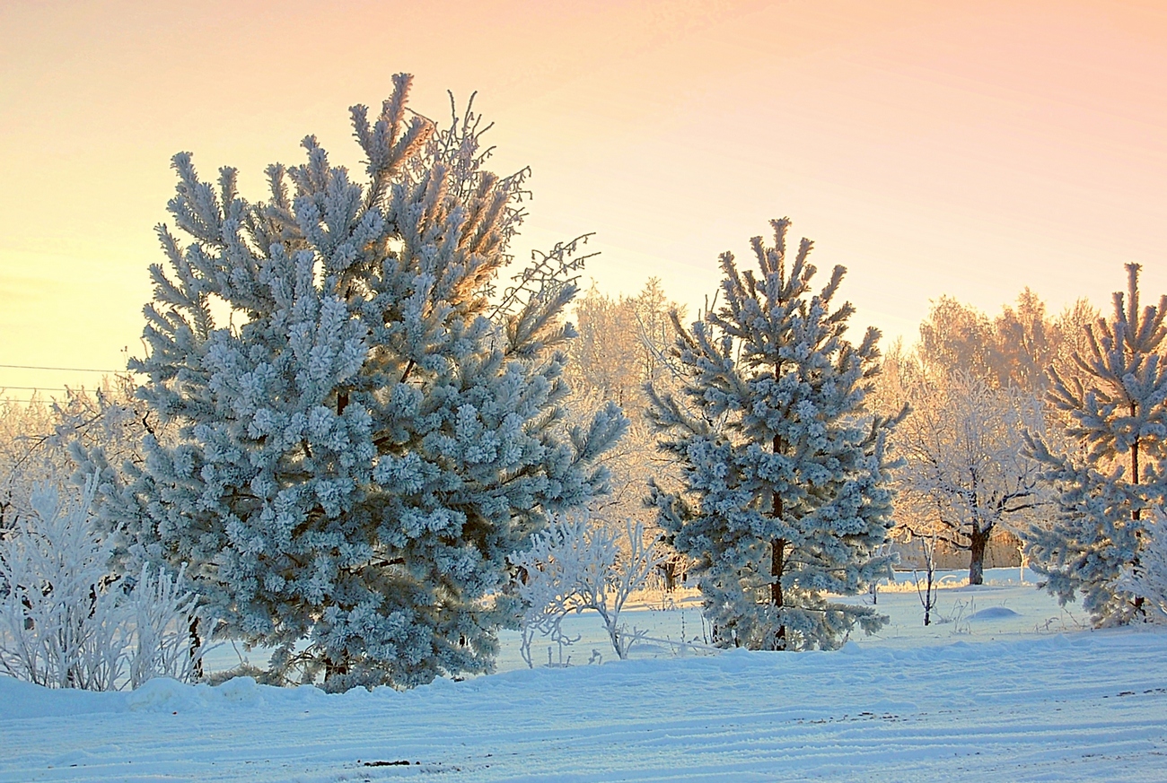 Сказочный вечер